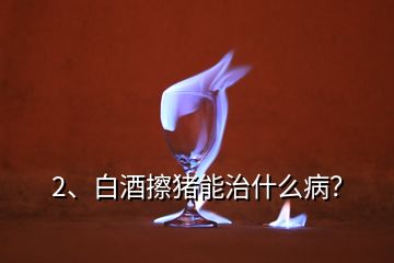 2、白酒擦豬能治什么?。?></p><p>白酒是生活中的交際品，更是廚房中的調(diào)料，在豬場中也有很多的妙用，少量的白酒能夠活血、散寒等作用；今天就給大家說下白酒在豬場中的妙用；1、母豬不給小豬吃奶咬小豬，這個(gè)時(shí)候耳朵灌服20ml，或者口服100ml-250ml高度酒看看，一般就能很快安靜了；2、豬群合圈，出現(xiàn)打架的時(shí)候，可以噴白酒，有時(shí)候也用花露水，只要味道一樣了一般就不咬架了，并圈注意晚上做，因?yàn)樨i本身眼神就不好；3、母豬不發(fā)情、沒有奶水的情況下，炒紅糖搭配白酒口服效果好；4、母豬乳房炎，單純的藥物治療效果可能不是特別及時(shí)，咱們的小豬還得著吃奶，可以注射藥物的同時(shí)，熱毛巾敷乳房，如果上面加上高度白酒或者有醋效果會更好；5、臍疝、脫肛等，出現(xiàn)的時(shí)候首先歸位，然后分點(diǎn)皮下注射酒精；每個(gè)地方2ml，可以刺激豬形成組織，長起來就能堵住出來的腸道；7、豬腦袋歪1側(cè)，如果藥物不好的時(shí)候，可以用白酒注射另一側(cè)的脖子，有時(shí)候就能治好；8、小豬拉稀，適量后海穴注射能夠起到治療作用；9、豬如果中暑了，或者高燒的時(shí)候，可以用白酒擦下；10、長途運(yùn)輸，為了防止應(yīng)激也可以口服些白酒，這樣豬就毛病少了；白酒因?yàn)橛袣⒕淖饔茫允悄軌蚩刂撇簧俚募膊。坏蔷圃闶褂玫臅r(shí)候要注意用量；白酒的10個(gè)妙用，減少豬場問題，不花錢解決大家的豬??！。</p>
</div>
</div>
<div   id=