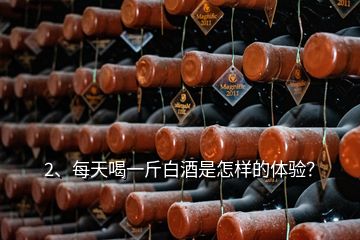 2、每天喝一斤白酒是怎樣的體驗(yàn)？