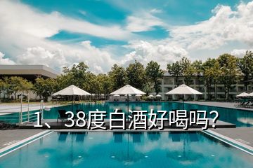 1、38度白酒好喝嗎？