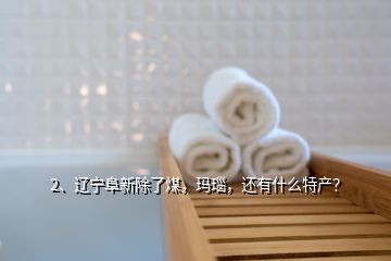 2、遼寧阜新除了煤，瑪瑙，還有什么特產(chǎn)？