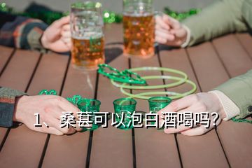 1、桑葚可以泡白酒喝嗎？