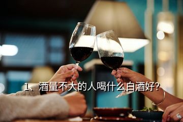 1、酒量不大的人喝什么白酒好？