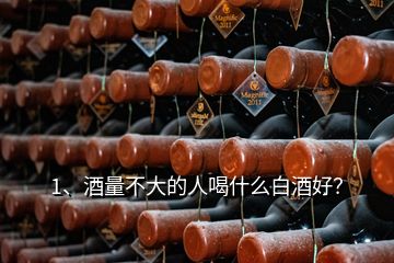 1、酒量不大的人喝什么白酒好？