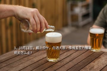 3、10月13日，截止中午，白酒大漲，像掩蓋主力撤退，明天怎么走？