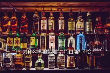 1、為什么啤酒能喝胖，而白酒卻不會？