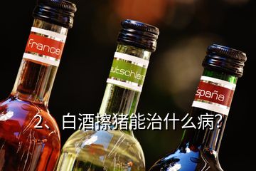 2、白酒擦豬能治什么病？