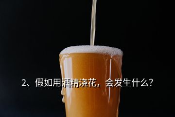 2、假如用酒精澆花，會(huì)發(fā)生什么？