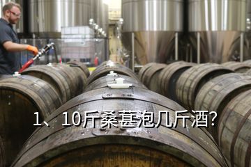 1、10斤桑葚泡幾斤酒？