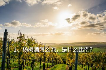 1、楊梅酒怎么泡，是什么比例？