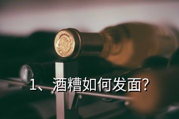 1、酒糟如何發(fā)面？