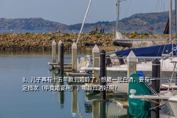 3、兒子再有十五年就到婚齡了，想藏一批白酒，要有一定檔次（畢竟婚宴用），哪款白酒好??？