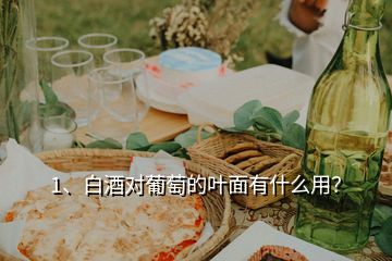 1、白酒對(duì)葡萄的葉面有什么用？