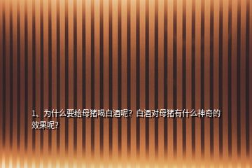 1、為什么要給母豬喝白酒呢？白酒對母豬有什么神奇的效果呢？