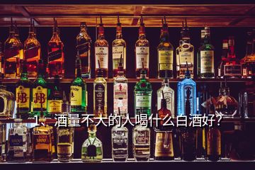 1、酒量不大的人喝什么白酒好？