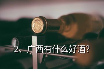 2、廣西有什么好酒？