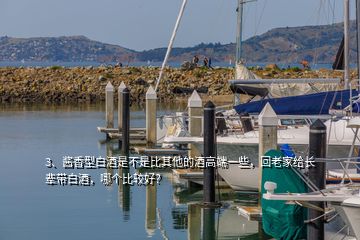 3、醬香型白酒是不是比其他的酒高端一些，回老家給長輩帶白酒，哪個比較好？