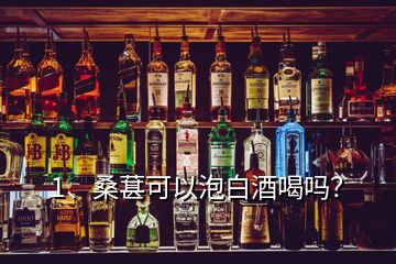 1、桑葚可以泡白酒喝嗎？