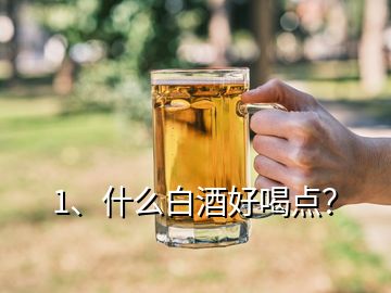 1、什么白酒好喝點？