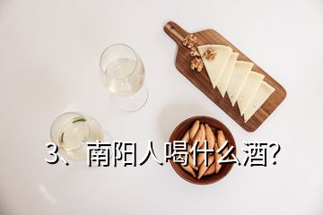 3、南陽人喝什么酒？