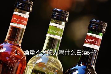 1、酒量不大的人喝什么白酒好？