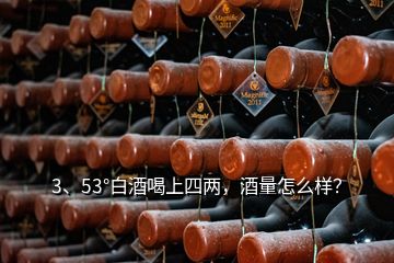 3、53°白酒喝上四兩，酒量怎么樣？