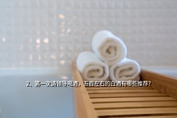 2、第一次請領導喝酒，五百左右的白酒有哪些推薦？