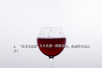 2、“五洋汾古郎”五大名酒一窩蜂漲價(jià)，白酒行業(yè)怎么了？