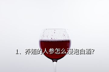 1、養(yǎng)殖的人參怎么浸泡白酒？