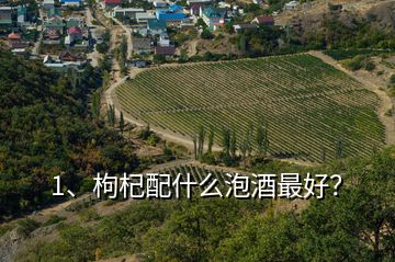 1、枸杞配什么泡酒最好？