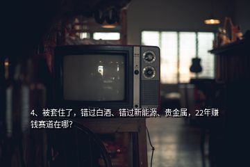 4、被套住了，錯過白酒、錯過新能源、貴金屬，22年賺錢賽道在哪？