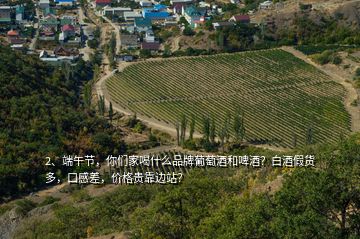 2、端午節(jié)，你們家喝什么品牌葡萄酒和啤酒？白酒假貨多，口感差，價格貴靠邊站？