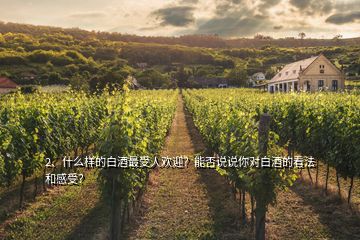 2、什么樣的白酒最受人歡迎？能否說說你對(duì)白酒的看法和感受？