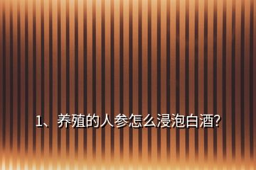 1、養(yǎng)殖的人參怎么浸泡白酒？