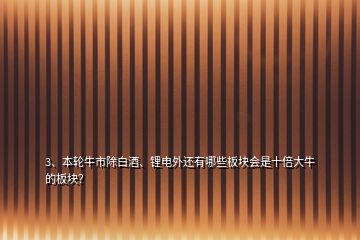 3、本輪牛市除白酒、鋰電外還有哪些板塊會(huì)是十倍大牛的板塊？