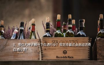 3、哪位大神講解一下白酒行業(yè)？我覺得最近會啟動消費白酒行情？