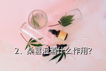 2、桑葚泡酒什么作用？