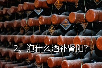 2、泡什么酒補腎陽？