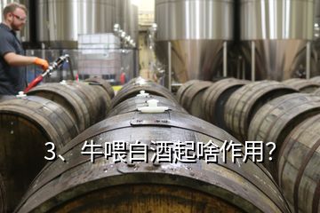 3、牛喂白酒起啥作用？