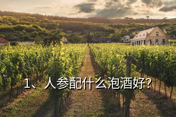 1、人參配什么泡酒好？