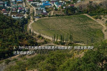 3、為什么農(nóng)村都喜歡喝散酒不喝瓶裝酒？到底是散酒好還是瓶裝酒好？