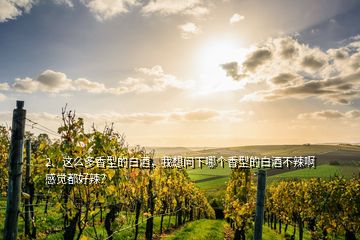 2、這么多香型的白酒，我想問下哪個(gè)香型的白酒不辣啊感覺都好辣？