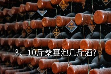 3、10斤桑葚泡幾斤酒？