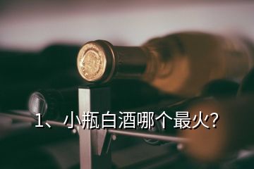 1、小瓶白酒哪個最火？