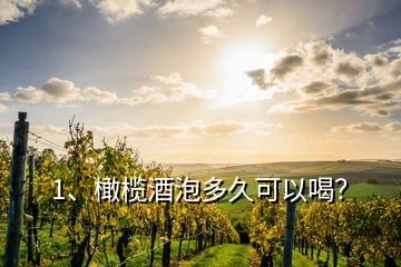 1、橄欖酒泡多久可以喝？