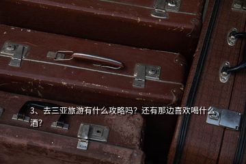 3、去三亞旅游有什么攻略嗎？還有那邊喜歡喝什么酒？