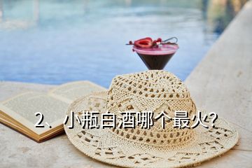 2、小瓶白酒哪個(gè)最火？