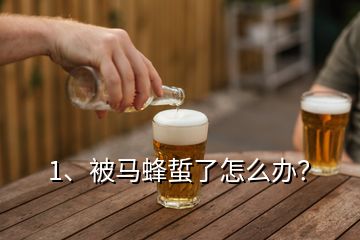 1、被馬蜂蜇了怎么辦？