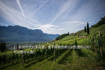 1、有90年代的茅臺酒，舍不得喝想摻點(diǎn)別的酒可以嗎？可以摻什么酒？