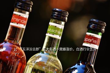 1、“五洋汾古郎”五大名酒一窩蜂漲價，白酒行業(yè)怎么了？