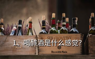 1、喝醉酒是什么感覺？